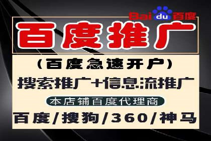 某企业sem账户精准竞价运营全解析
